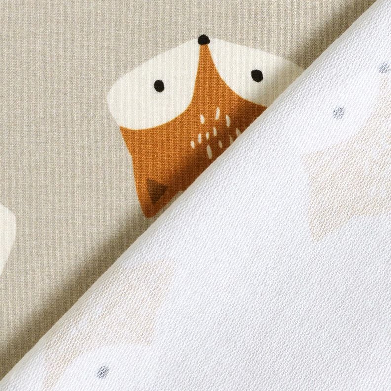 French Terry kleine vos – zilvergrijs,  image number 4