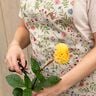 Decostof Half panama Bosdieren en bloemen – natuur/groen,  thumbnail number 6