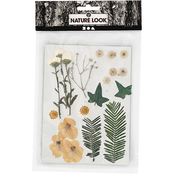 Geperste bloemen & Bladeren [19 delig] - creme/groen,  image number 2