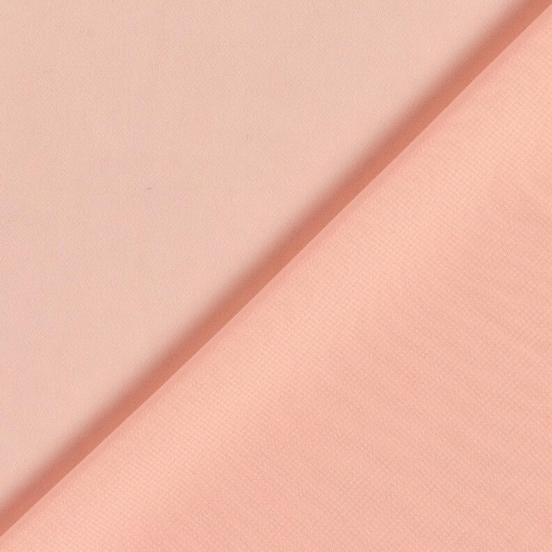 Chiffon – roos,  image number 4