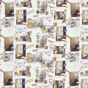 Cretonne Licentiestof "Harry Potter" herinneringen | Warner Bros. – lichtbeige, 