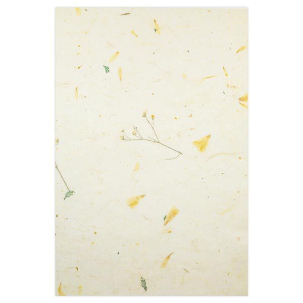 Set natuurlijk papier "Paper Nature Daisy", image number 4