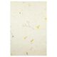 Set natuurlijk papier  "Paper Nature Daisy",  thumbnail number 4