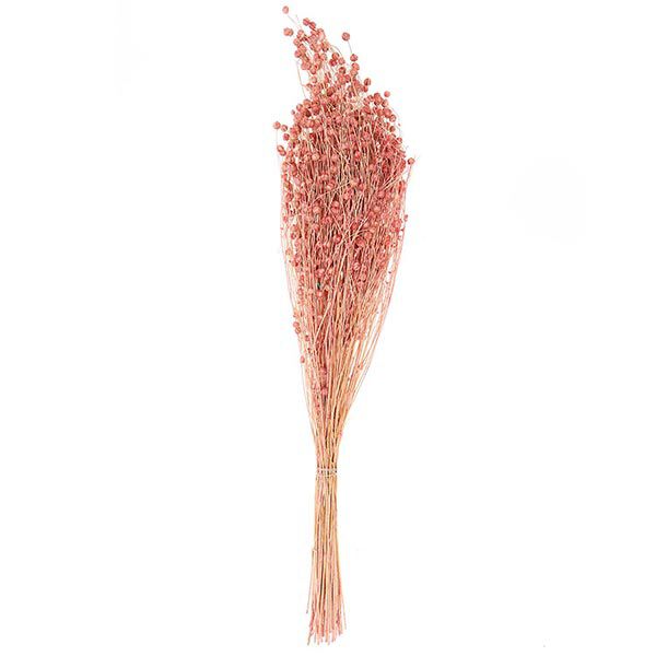 Gedroogd vlas [ 100 g ] | Rico Design – pink,  image number 4