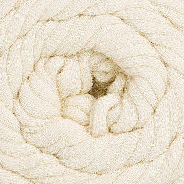 Cotton Jersey, 100 g | Schachenmayr (00002),  image number 2