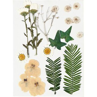 Geperste bloemen & Bladeren [19 delig] - creme/groen, 
