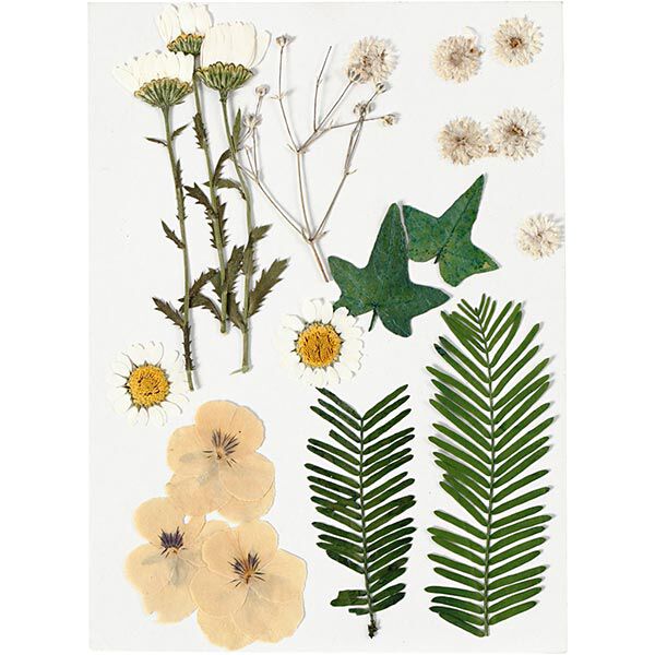 Geperste bloemen & Bladeren [19 delig] - creme/groen,  image number 1