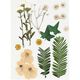 Geperste bloemen & Bladeren [19 delig] - creme/groen,  thumbnail number 1