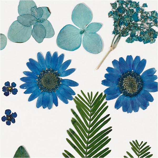 Geperste bloemen & Bladeren [19 delig] - blauw/groen,  image number 3